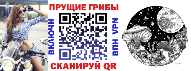 Псилоцибиновые грибы MAGIC MUSHROOMS  Кудымкар 
